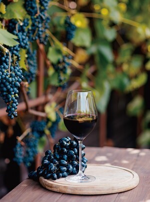 THE ELEGANCE OF PINOT NOIR